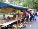 Slavnosti Perníkového hejtmanství 2008