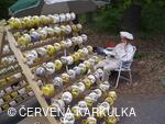 Slavnosti Perníkového hejtmanství 2008