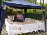 Slavnosti Perníkového hejtmanství 2008