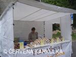 Slavnosti Perníkového hejtmanství 2008