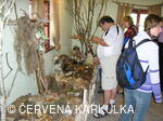Setkání Jeníčků a Mařenek 2005 - Svět skřítků a strašidel