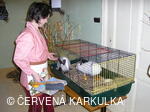 Velikonoce v Perníkové chaloupce 2005