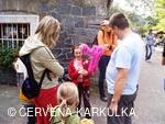 Království perníku 2009