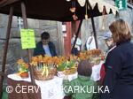 Velikonoce v Perníkové chaloupce 2010